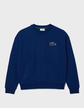 Sudadera Lacoste SH6405-00 AzulF9F