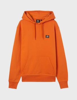 Sudadera Dickies Mount Vista