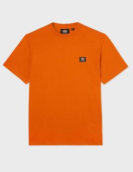 Camiseta Dickies Mount Vista