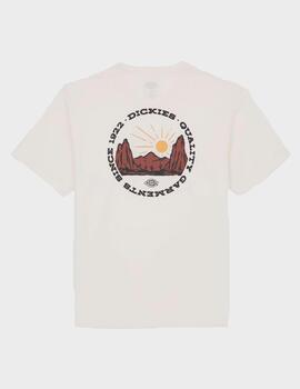 Camiseta Dickies Outdoor SS Tee