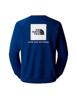 Sudadera The North Face M Raglan Box NSE Estateb