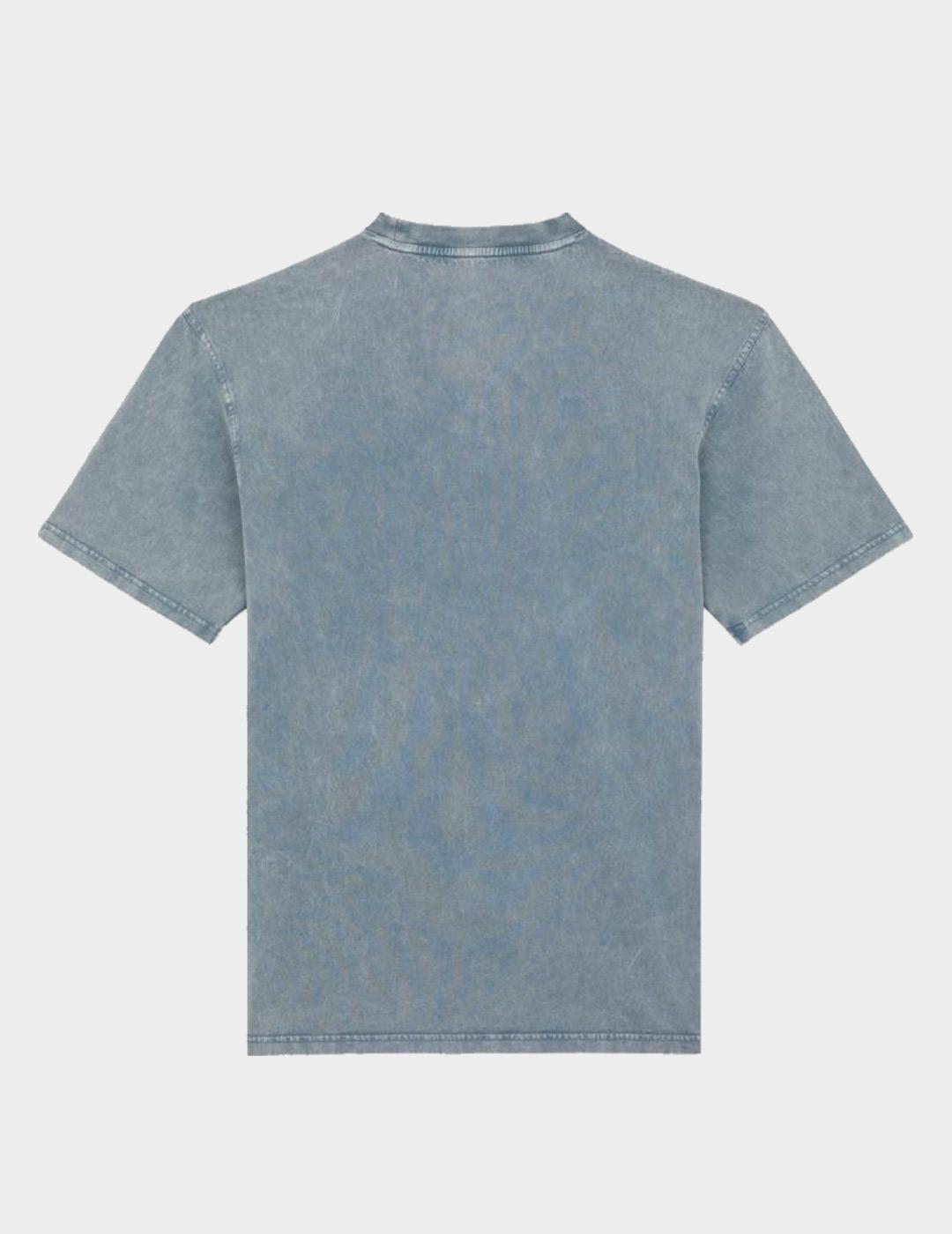 Camiseta Dickies Plentywood Tee SS