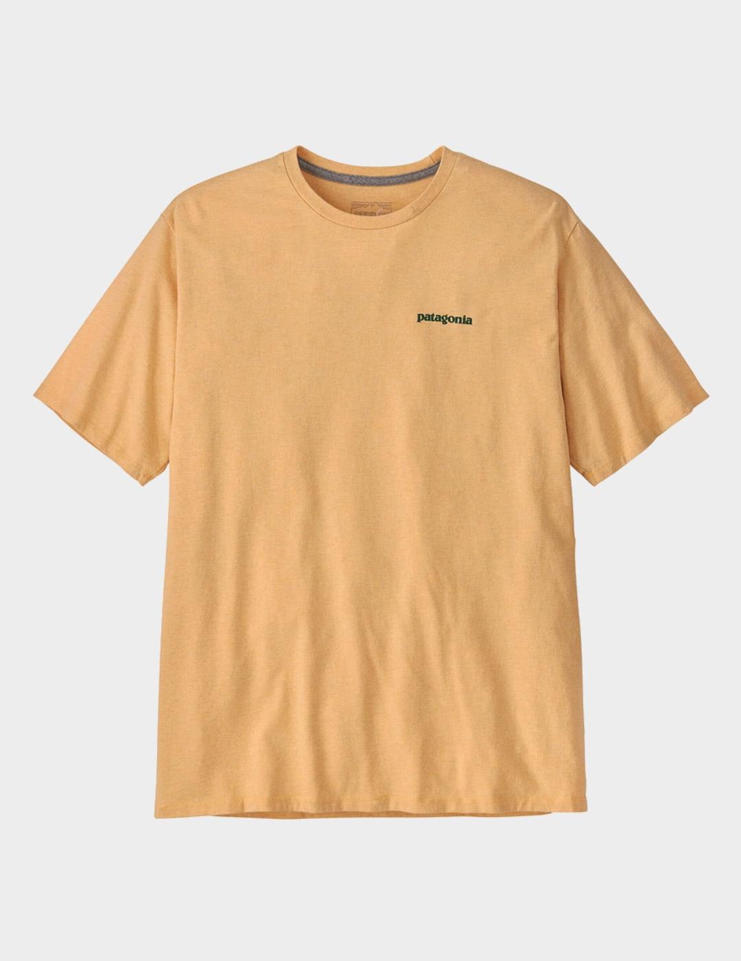 Camiseta Patagonia M´s Flying Fish Responsabili-Te