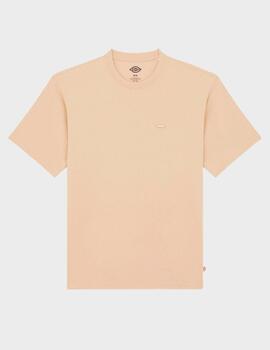 Camiseta Dickies Clancy Heavyweight SS Tee Irish C
