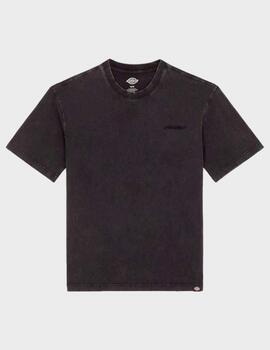 Camiseta Dickies Plentywood Tee SS Dye Acid