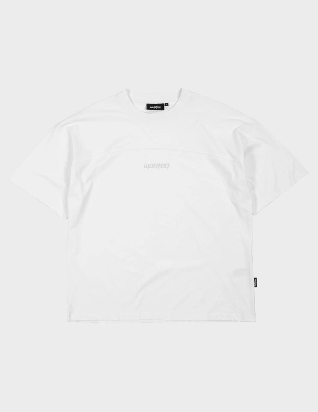 A08798 fipssyw8