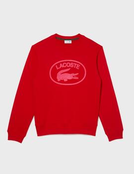 Sudadera Lacoste SH0254-00