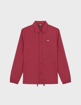 Chaqueta Dickies Oakport Coach Tibetan Red