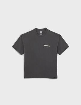 Camiseta Dickies Slayden GD SS Black
