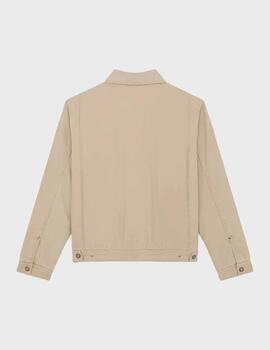 Cazadora Dickies Painterr Jacket Canvas DesertSand