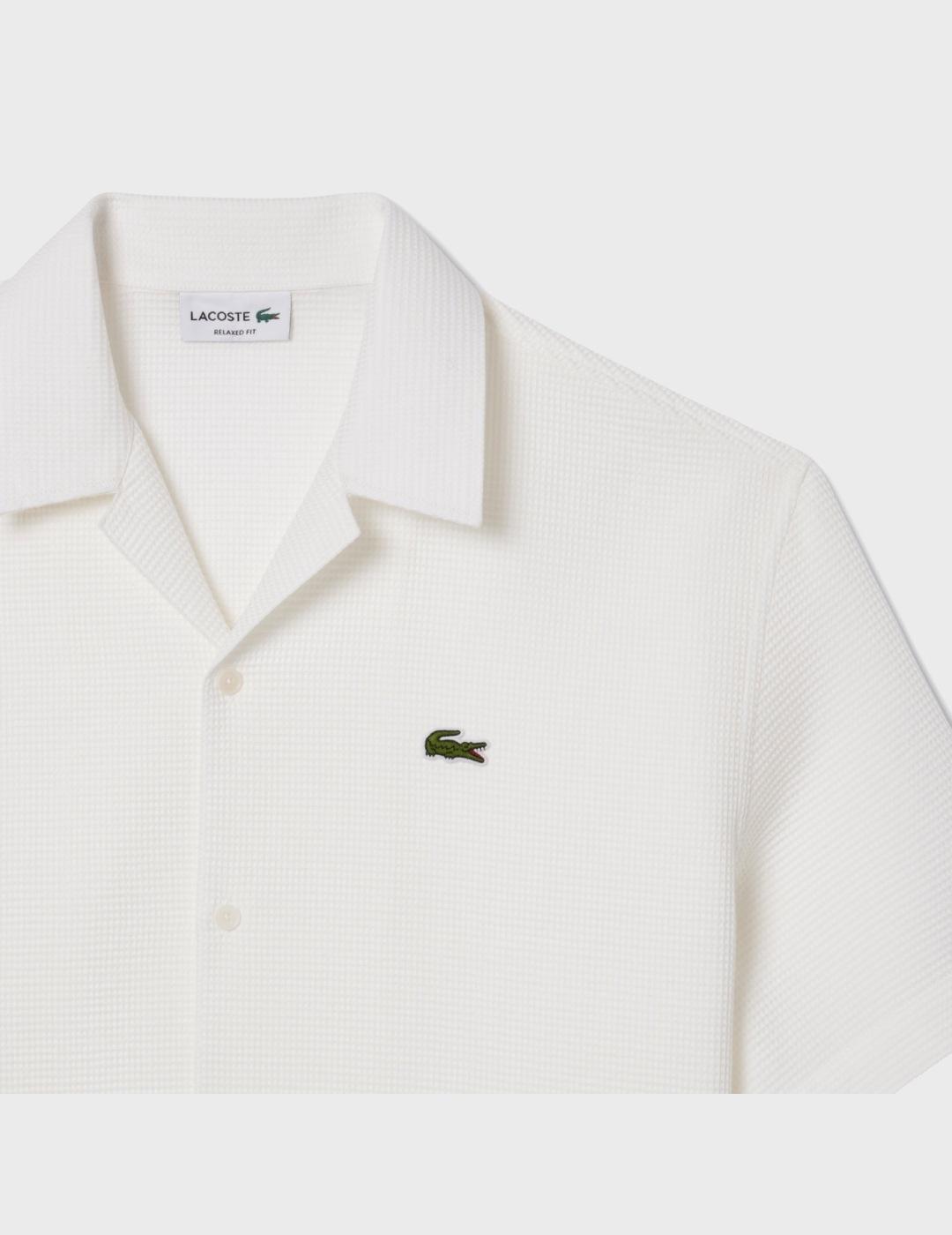 Camisa Lacoste CH9924 00 70V