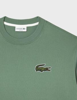 Camiseta Lacoste TH0062