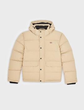 Chaqueta Dickies Glacier view