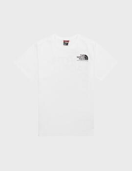 Camiseta The North Face M Coordinates