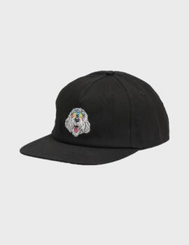Gorra Santa Cruz Mccoy Donut Dog