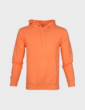 Sudadera Colorful Standard CS8006