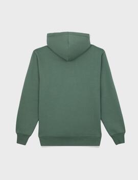 Sudadera Dickies Park Hoodie Dark Forest