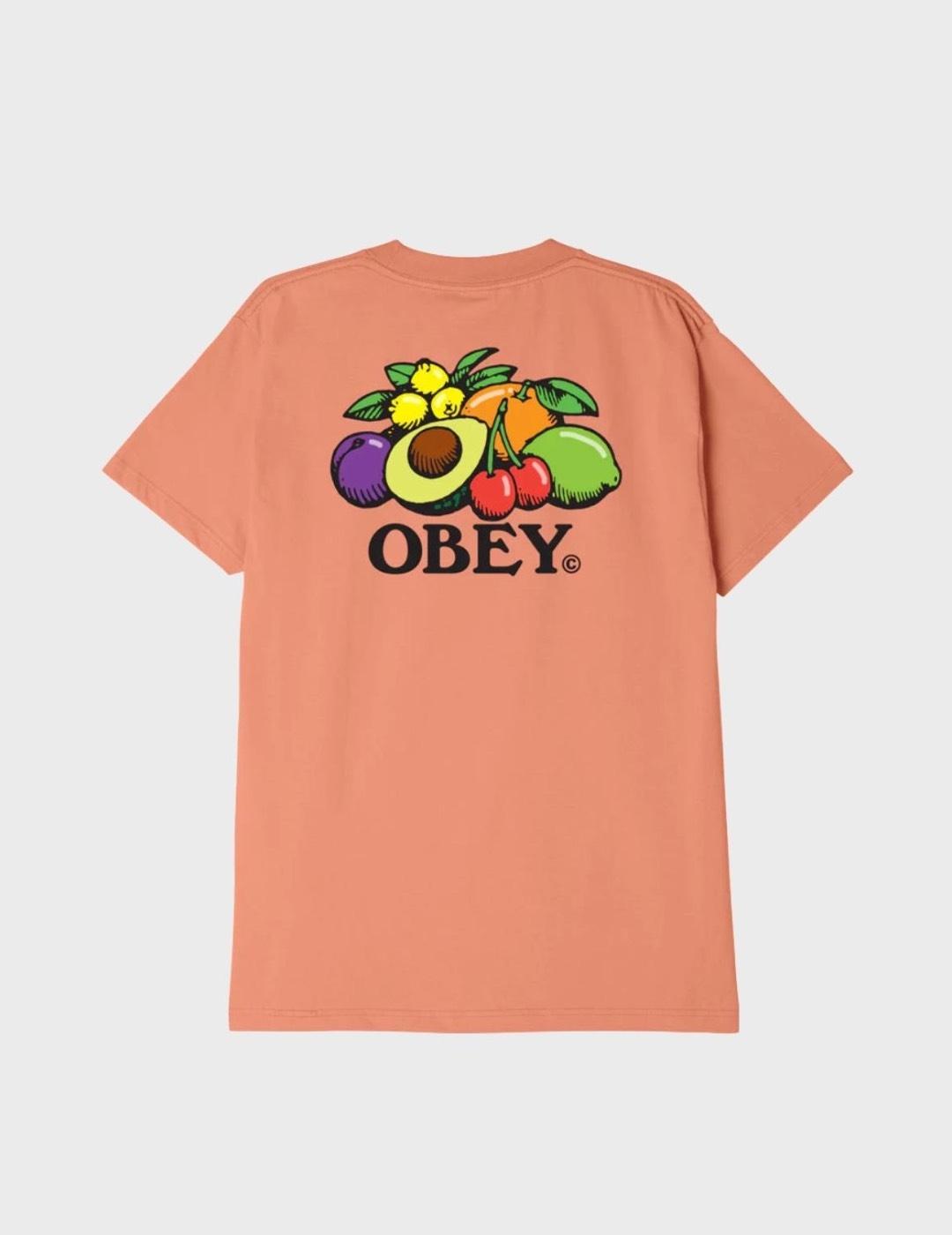 Camiseta Obey Bowl Of Fruit Citrus