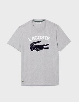 Camiseta Lacoste TH9681 GrisCca