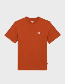 Camiseta Dickies Summerdale DKC05 Brown