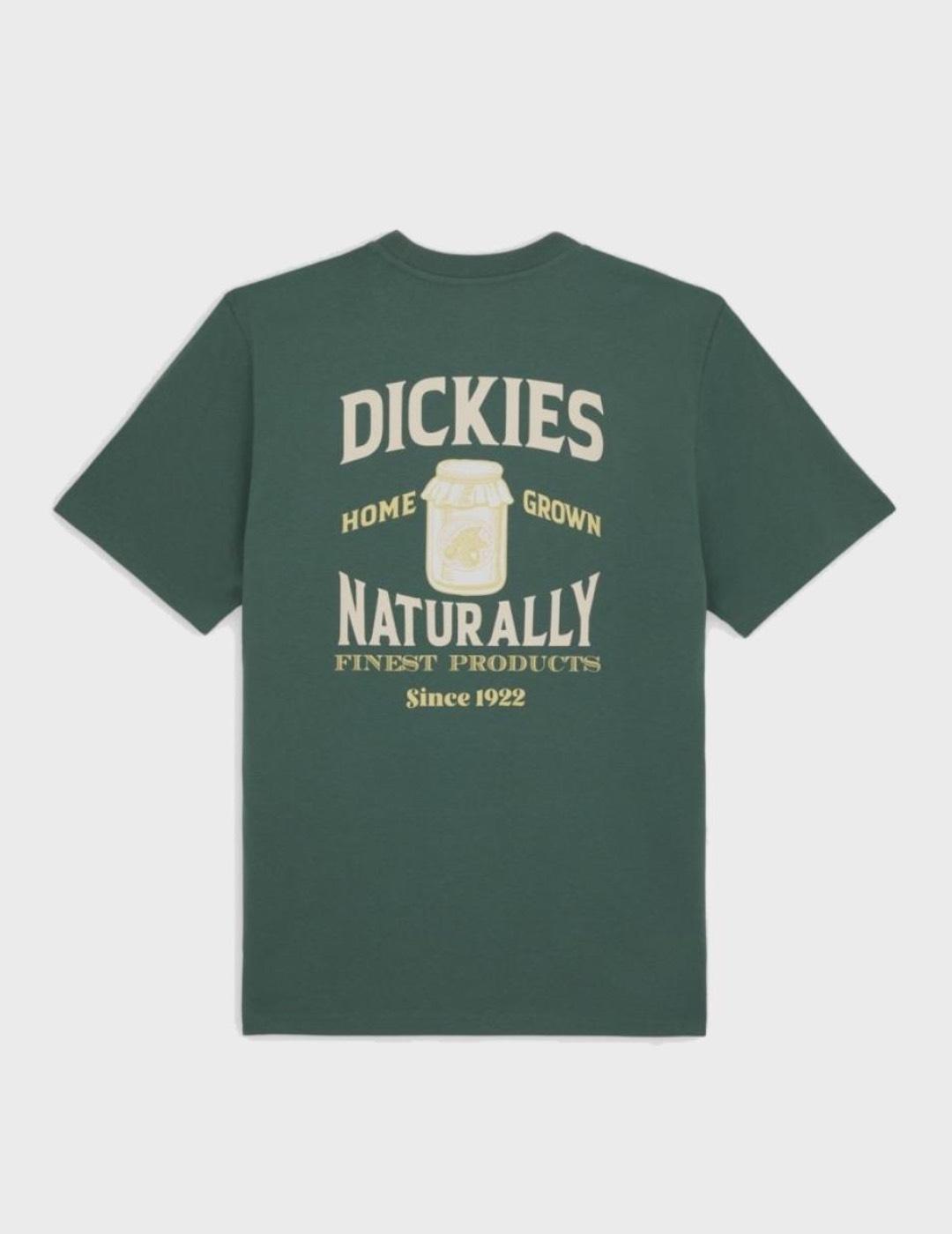 Camiseta Dickies Elliston Ss Dark Forest
