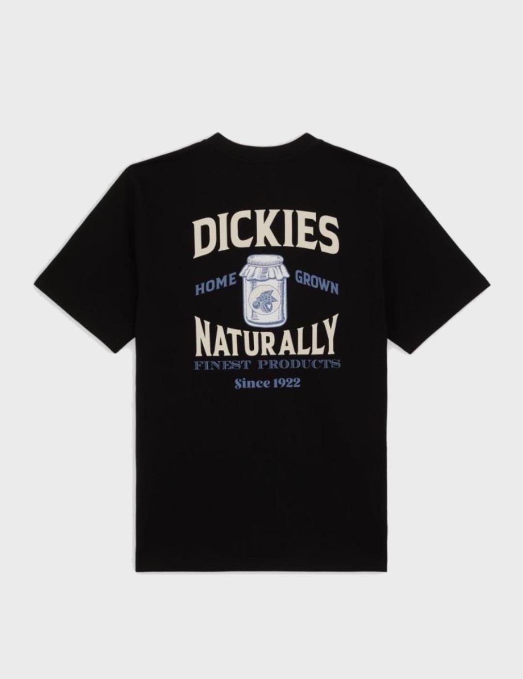 Camiseta Dickies Elliston Ss Black