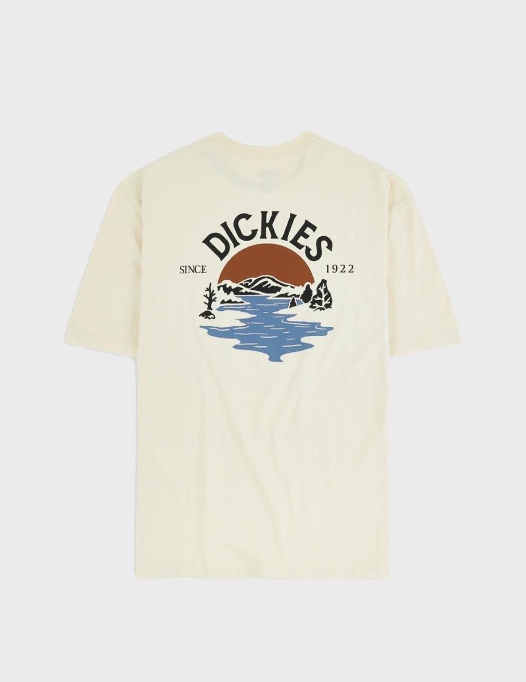 Camiseta Dickies Beach Ss Whitecap Gray