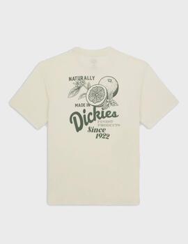 Camiseta Dickies Raven Tee SS Cloud