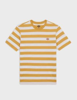 Camiseta Dickies Ss Rivergrove Fall Leaf