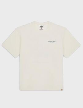 Camiseta Dickies Wakefield Ss Cloud