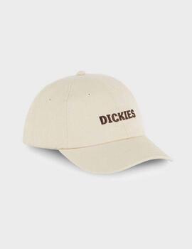 Gorra Dickies Hays F90 Gray