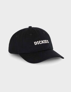 Gorra Dickies Hays Black