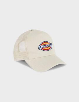 Gorra Dickies Sumitom Trucker F90 Cream